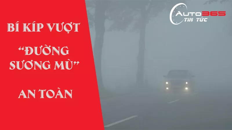 BÍ KÍP VƯỢT ĐƯỜNG  SƯƠNG MÙ AN TOÀN KHI ĐI Ô TÔ